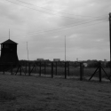 Majdanek - táborové pole - v pozadí domy v Lublinu