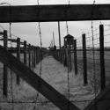 Majdanek - drátěné ploty mezi jednotlivými poli tábora