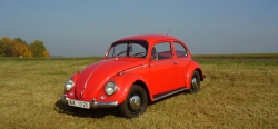 Volkswagen Brouk a Hitlerova politika lidového vozu