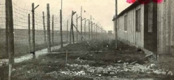 Trestanecké pracovní tábory na Hornoslavkovsku