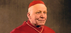 Arcibiskup Josef Beran - muž vzdoru, bolesti a naděje 