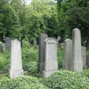 Nový židovský hřbitov Olšany