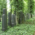 Nový židovský hřbitov Olšany