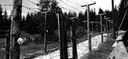 Železná opona na česko - bavorské hranici v letech 1948 - 1989